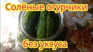 Как заготовить,очень вкусные,хрустящие солёные огурчики без уксуса.Самый простой рецепт.