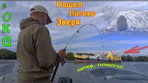 Борьба с сомом. Как на морской рыбалке