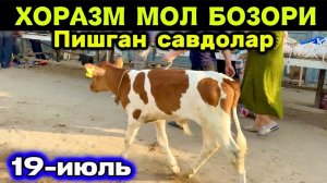 ХОРАЗМ МОЛ БОЗОРИ. ЁШ ХЎКИЗЧАЛАР ҒУНАЖИНЛАР БОЗОРИ САВДОСИ СОТИЛГАН МОЛЛАР НАРХЛАРИ 19-июля 2026 г.