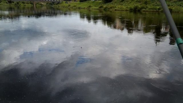 Ржев, Волга рыбалка