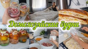 МНОГО ДОМАШНИХ ДЕЛ🏡ЗАГОТОВКИ НА ЗИМУ🍎ДЕЛАЮ КАШИ В БАНКАХ🧄ВКУСНЫЙ ПИРОГ НА СКОРУЮ РУКУ 🫓