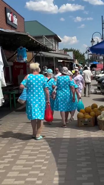 они замышляют какой-то план