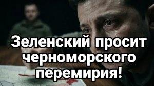 ЗЕЛЕНСКИЙ УМОЛЯЕТ ЧЕРНОМОРСКОГО ПЕРЕМИРИЯ!