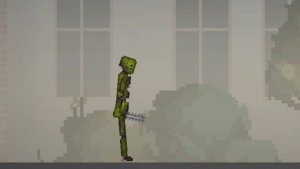 Melon infection 3