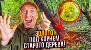 О такой находке мечтает каждый кладоискатель! Лучшая находка за 10 лет поиска! - Царское Золото!