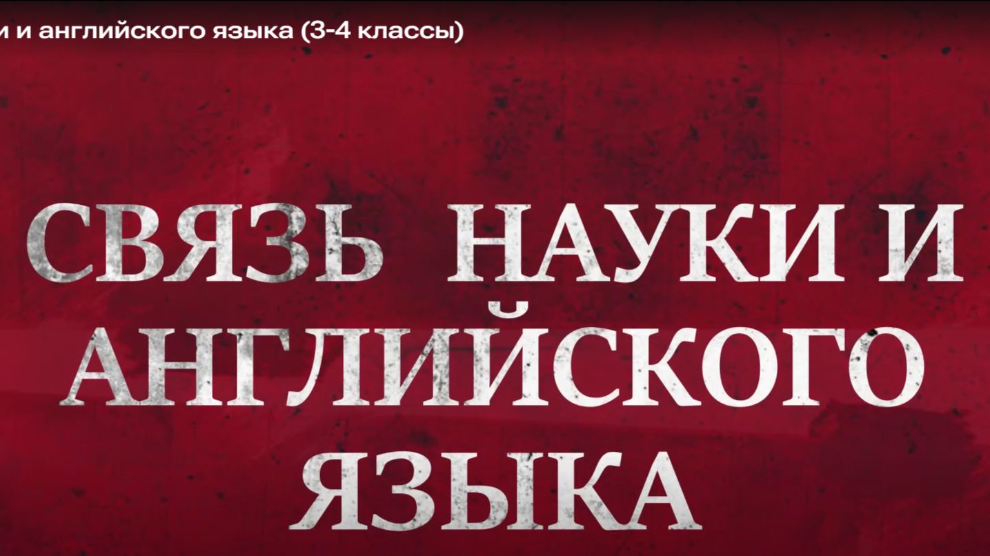 Видео викторины