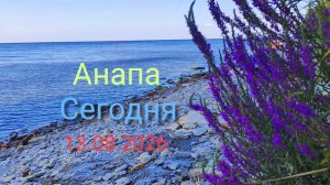 Анапа Сегодня 13.08.2026