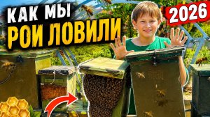 Как мы рои ловили. Сезон 2026