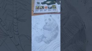 красота 🤩