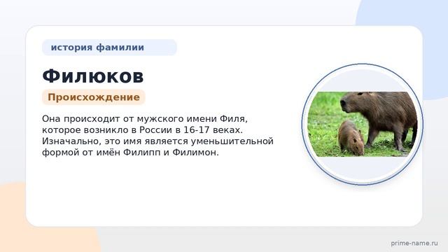 Филюков: происхождение, история и значение фамилии. Как правильно склонять фамилию Филюков?