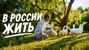«Собрал чемоданы — и в Россию»: переселенцы из Европы уехали от русофобии в Псковскую область