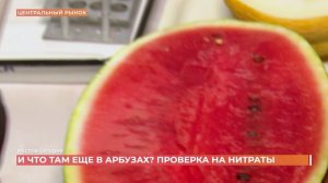 Ростов сегодня: дневной выпуск. 13 августа 2026