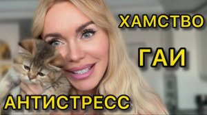 ПОЧЕМУ МЫ ТЕРПИМ ХАМСТВО? Психология очередей и мой день в ГИБДД