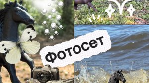 Фотосет лошадей schieich//Вышла из реста!/🐾🪶