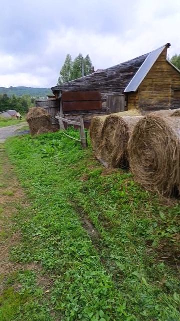 Доброе утро