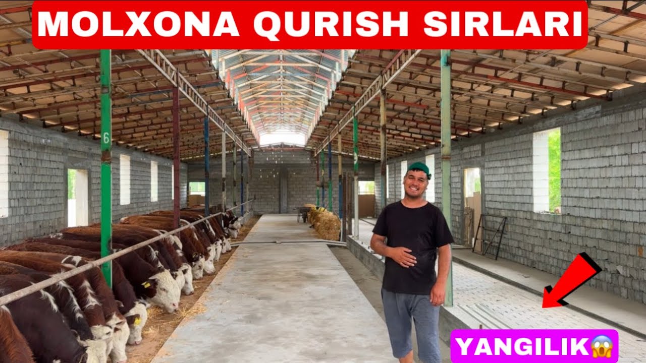 MOLXONA QUTISH SIRLARI JUDAXAM SIFATLI EKAN A😃😃😃🥇11 мая 2025 г.