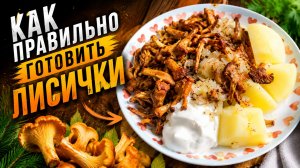 Как правильно готовить лисички | обалденный рецепт