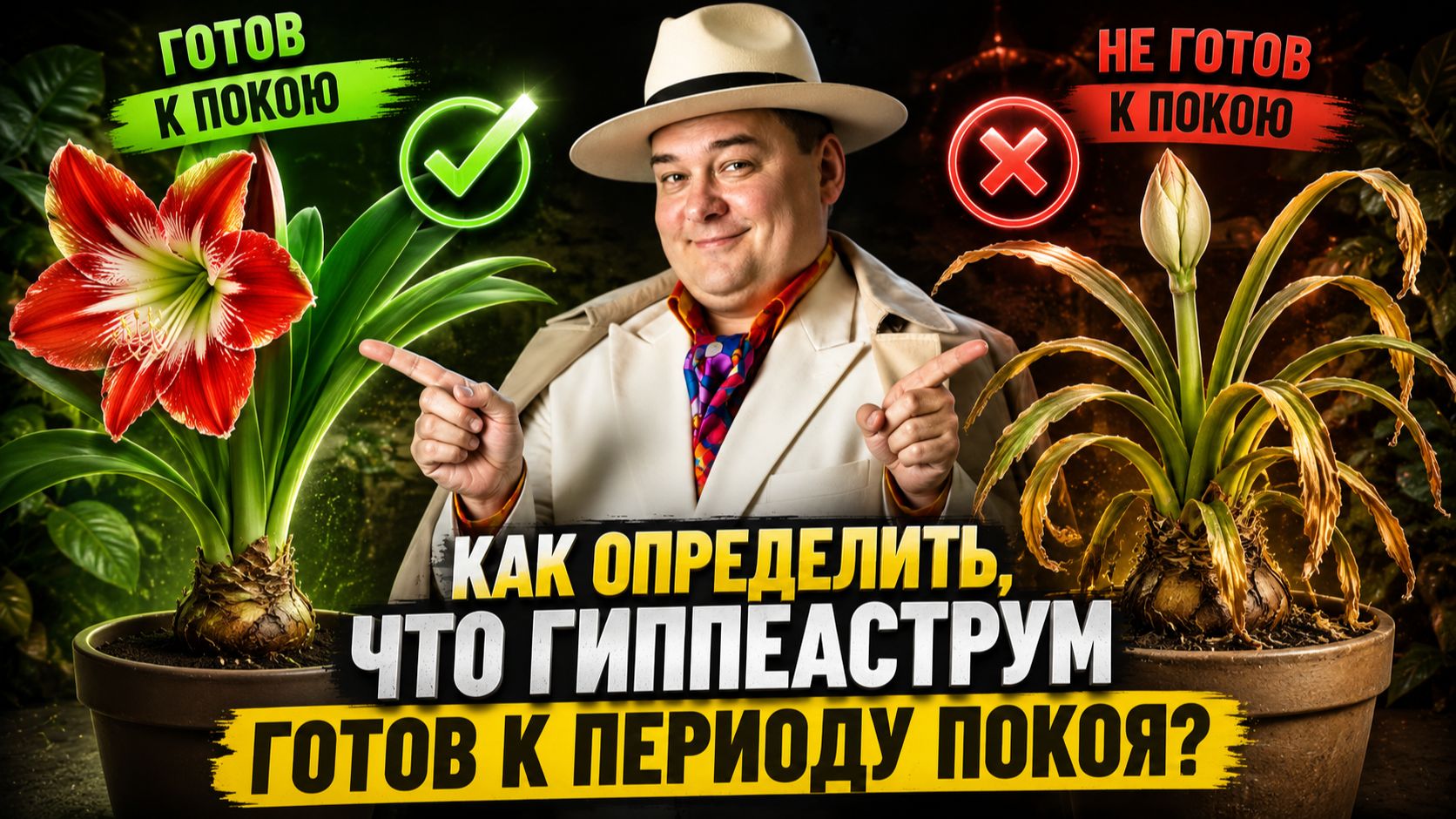 Гиппеаструм