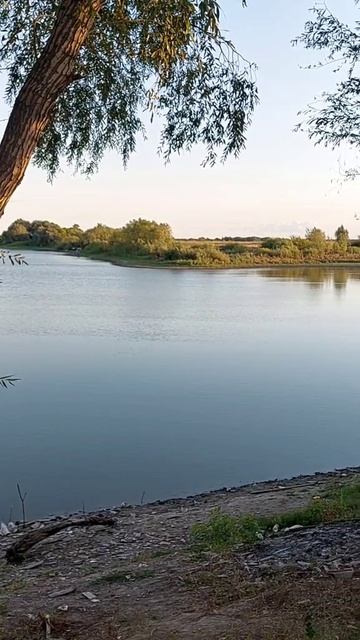 Прогулка перед сном❤️🌅