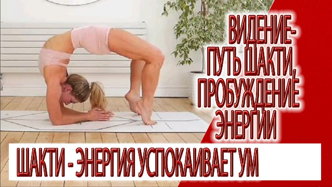 Видение - Путь Шакти, практика рзвития внутренней энергии