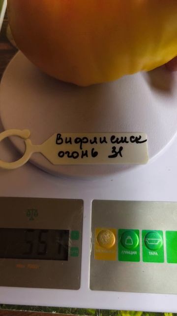 Вифлеемский огонь.