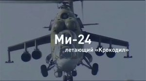 Летающий «Крокодил» : главные факты об ударном вертолете Ми-24 за 60 секунд