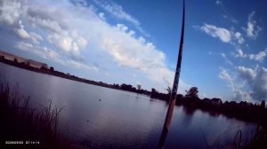 Вечерний клев на поплавок🎣 Прикормка Жмых-Дробленка. Насадка перловка.