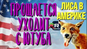 Прощается /Уходит с ютуба /Лиса в Америке Обзор Funny 4