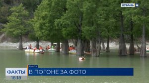 Кипарисы на озере Сукко снова страдают от наплыва туристов в Анапе