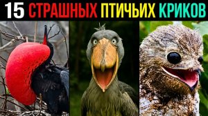 15 ПТИЧЬИХ КРИКОВ, от которых У ВАС БУДУТ КОШМАРЫ! 😱 Самые страшные птичьи звуки. Животные