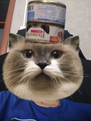 кс го