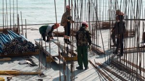 Птица: Новости за июль 2026