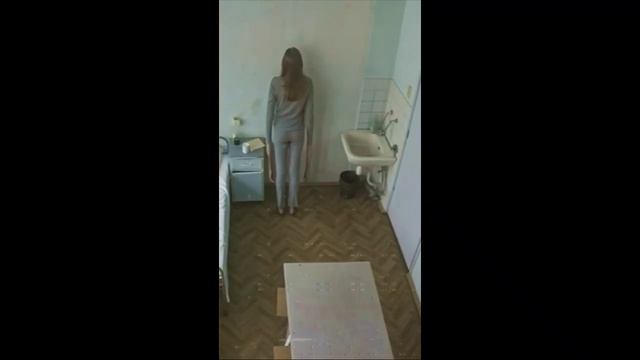 контур видео 1
