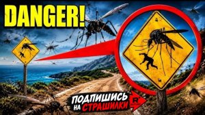 💀☢️ Если вы увидите на дороге 🚨этот знак, держитесь подальше! Это может быть опасно для вас!