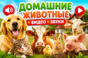 Домашние животные: видео и звуки | Развивающий мультфильм для детей