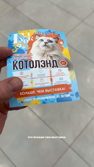 трансформация день 3/100