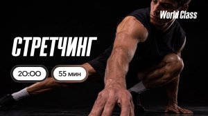 СТРЕТЧИНГ с Еленой Жиляевой | 16 августа 2026 | Онлайн-тренировки World Class