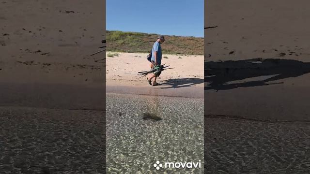 Западный Крым.Черноморское.Песчаный пляж село Знаменское.