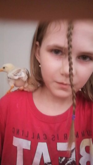 Плетем