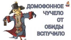ДОМОФОННОЕ ЧУЧЕЛО ОТ ОБИДЫ ВСПУЧИЛО