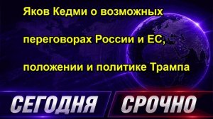 Яков Кедми о возможных переговорах России и ЕС, положении и политике Трампа