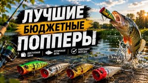 На что способен поппер от kosadaka.