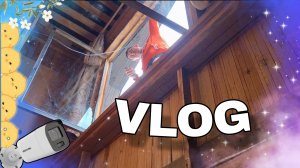 VLOG: МУЖ ГОТОВИТ КУРИЦУ В ДУХОВКЕ. УСТАНОВИЛИ КАМЕРЫ