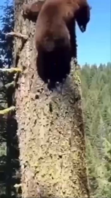 От страха