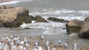 Международный день Каспийского моря