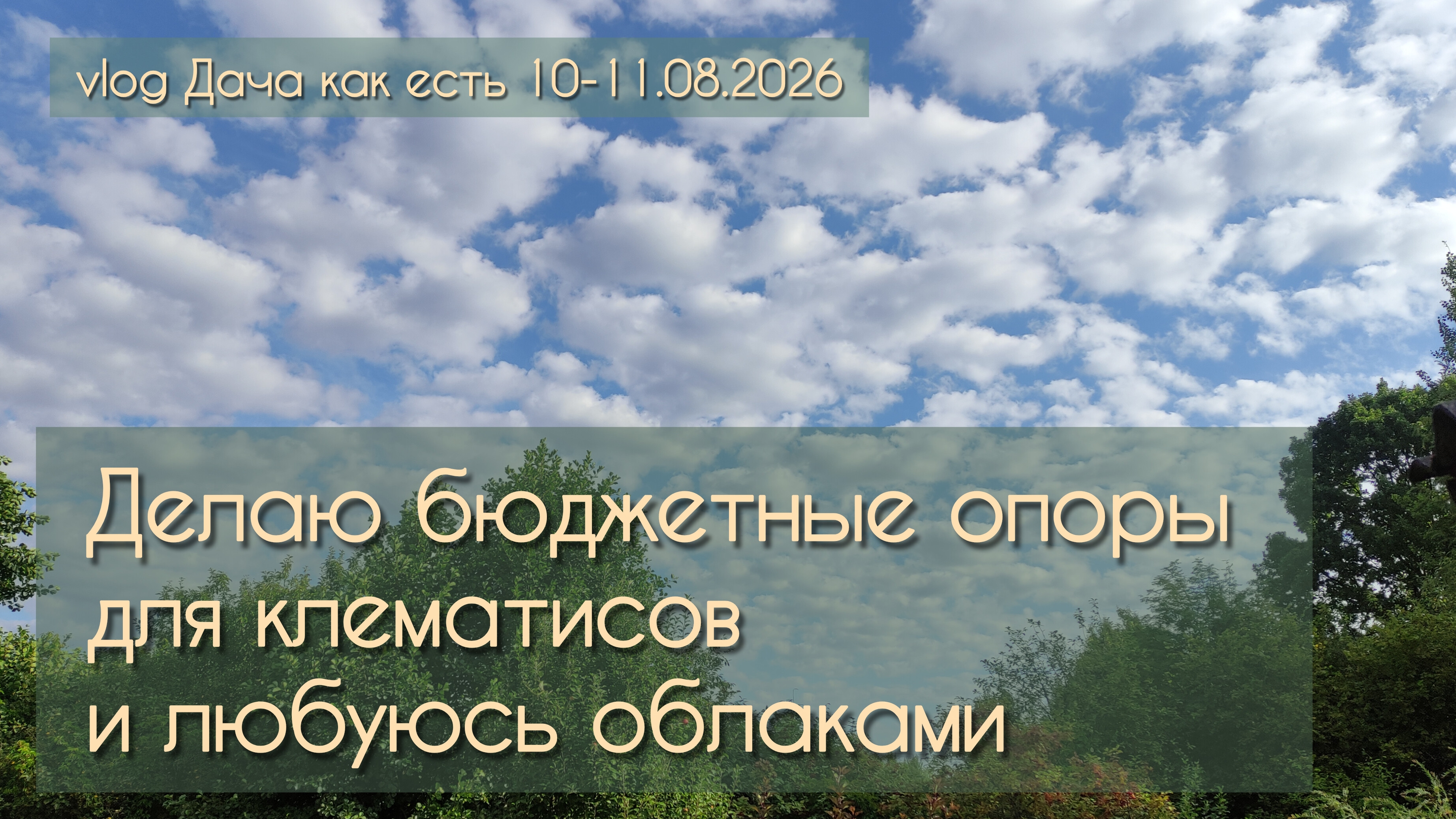 Опоры для клематисов из того что было и прикольные облака / Vlog Дача как есть 10-11.08.2026
