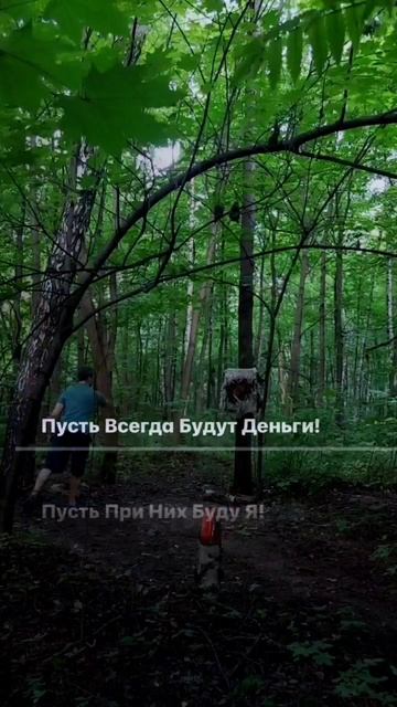 1181 574
Встречный Взгляд (Танка)
Медовый Цветик Сада
Шлет Цветику Свой Стих…
Две Пчелки Вылетают
Из
