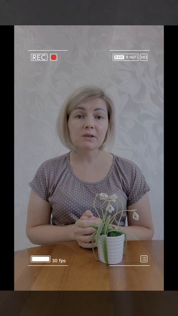 Схемы подкормки многолетних кустарников и деревьев.
