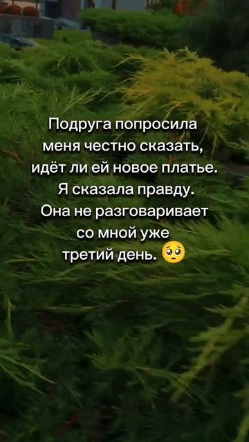 Подруга попросила меня честно сказать, идёт ли ей новое платье. Я сказала правду...