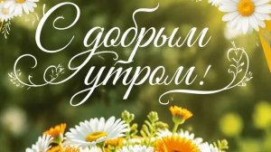 С добрым летним утром.! Красивая музыкальная открытка.
